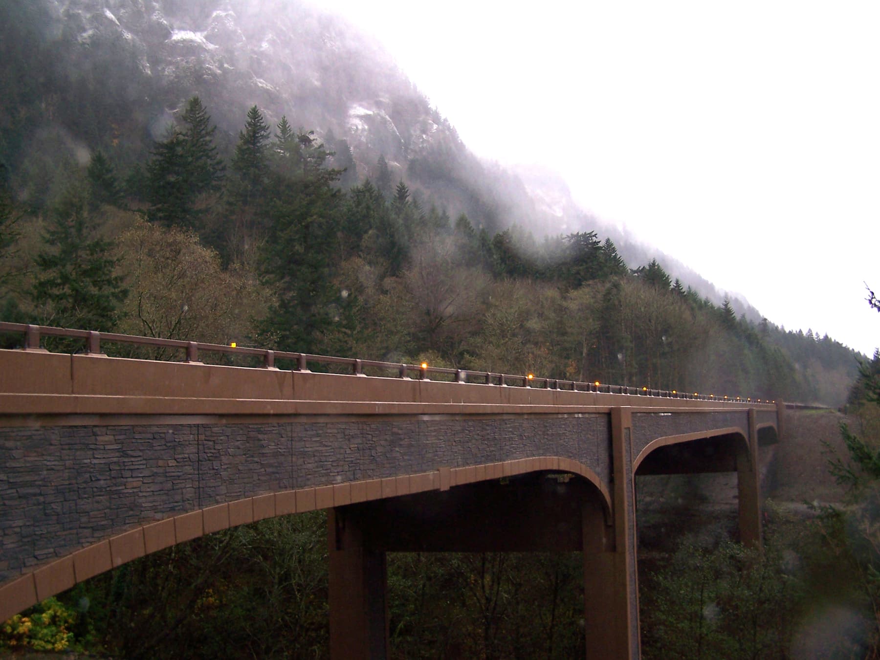 Bridge in misty land of trees and snow