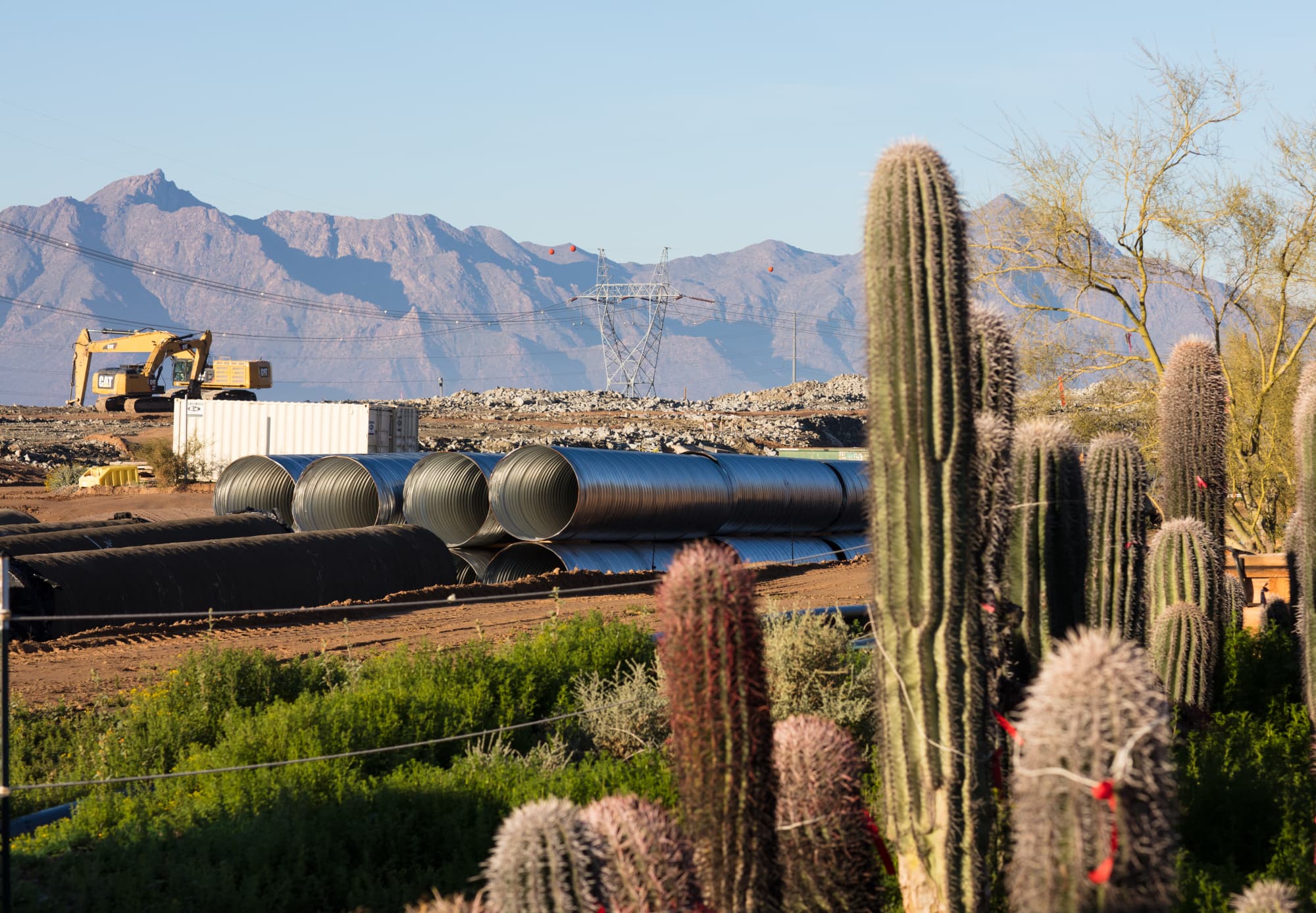 Cactuses and construction